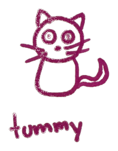 Tummy, CuteGlamGirl's cat